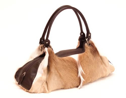 Kelly springbok CHF 450,00